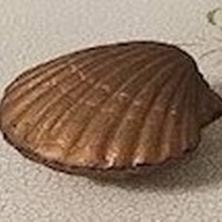 j3odQtSJrL2ssKh1726021622_1726021641